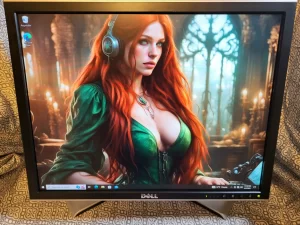 Dell 2007FPb 20-inch LCD Monitor letalia full view